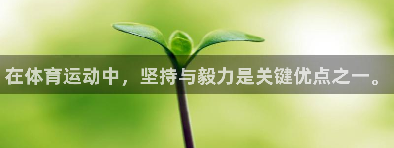 杏耀登录注册