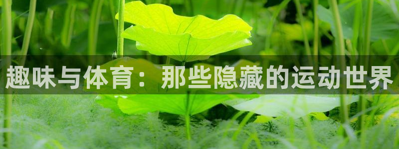 佛山市南海杏耀机电仪器有限公司