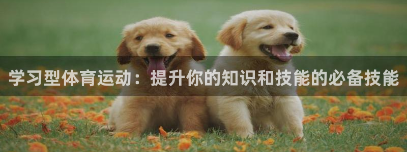 杏耀体育免费注册入口