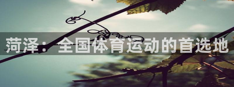 杏耀登录注册