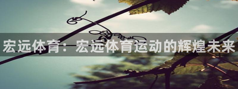 杏耀2注册